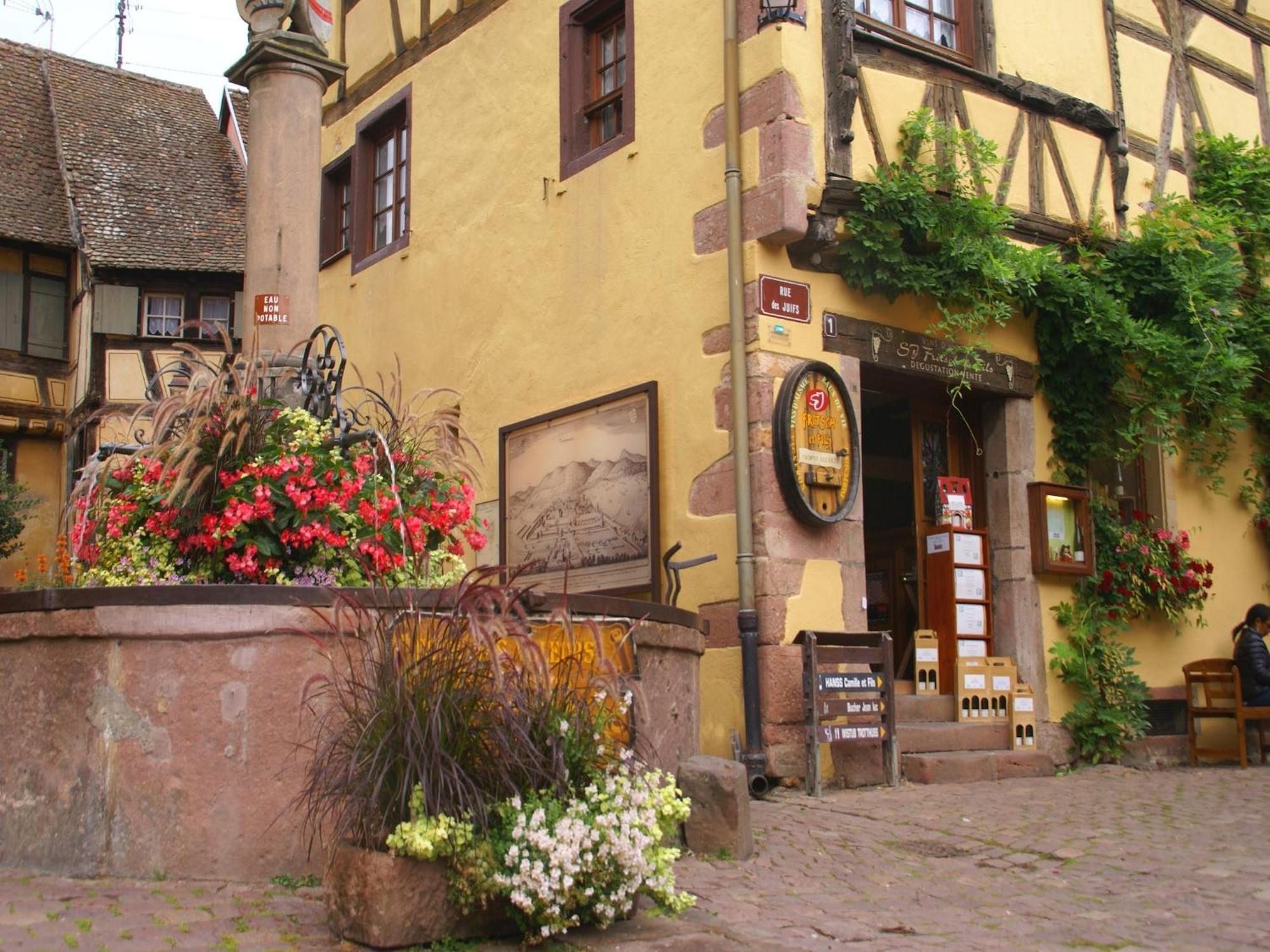 An Apartment In A 17Th Century Wine Grower S House Riquewihr Buitenkant foto